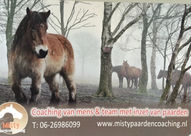 Paardencoaching - 03