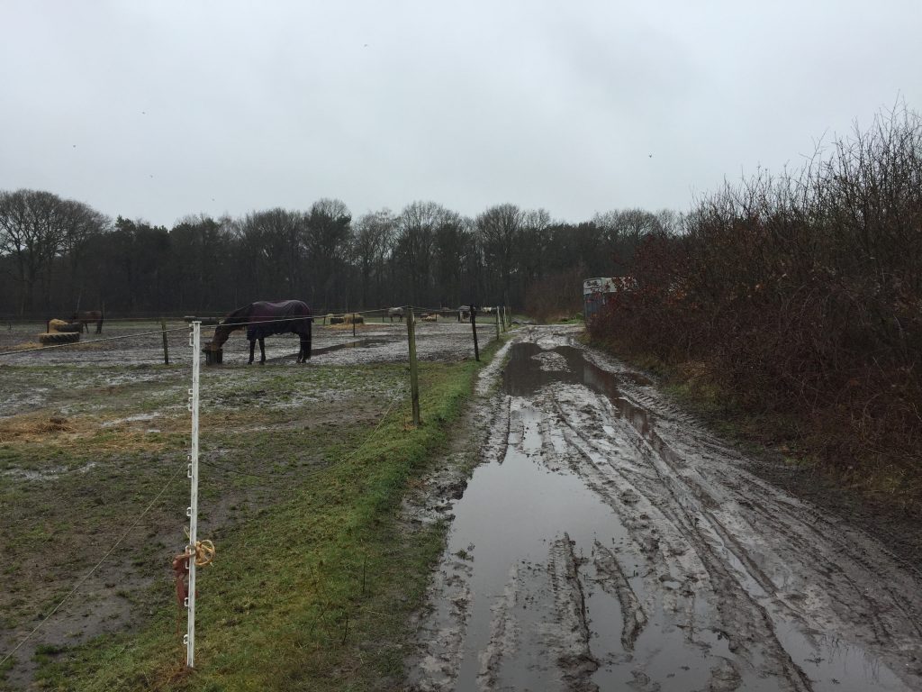 Paardencoaching - 05