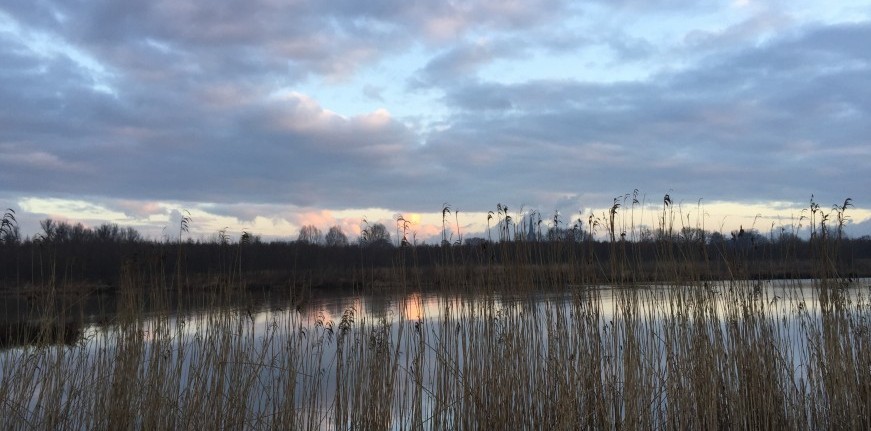 Reflectie van gedachten en gevoelens tijdens en na een psychose