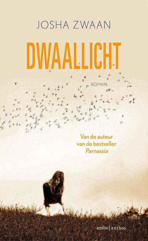 Dwaallicht – Josha Zwaans