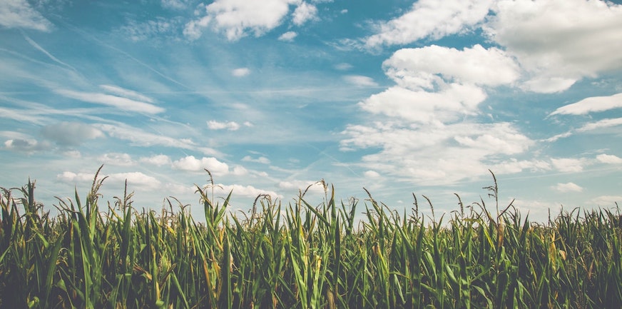 Aandacht voor zingeving en spiritualiteit in het eSpreekuur