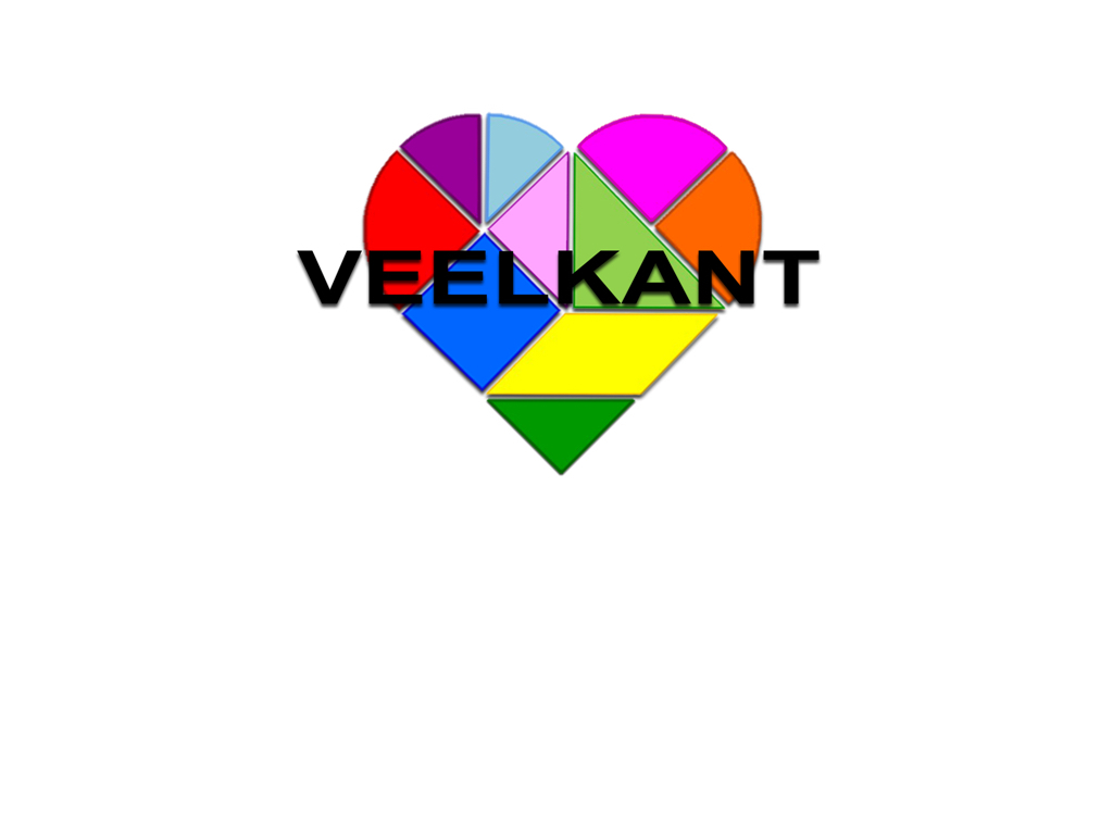 Veelkant Praktijk voor PTSS en Zingeving