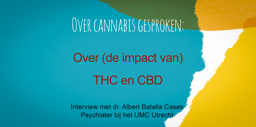 De impact van THC en CBD – interview met psychiater Albert Batalla