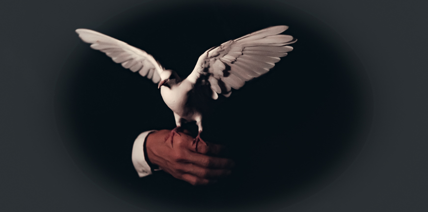 Psychose en dwanghandelingen – het gevoel van angst uitzitten