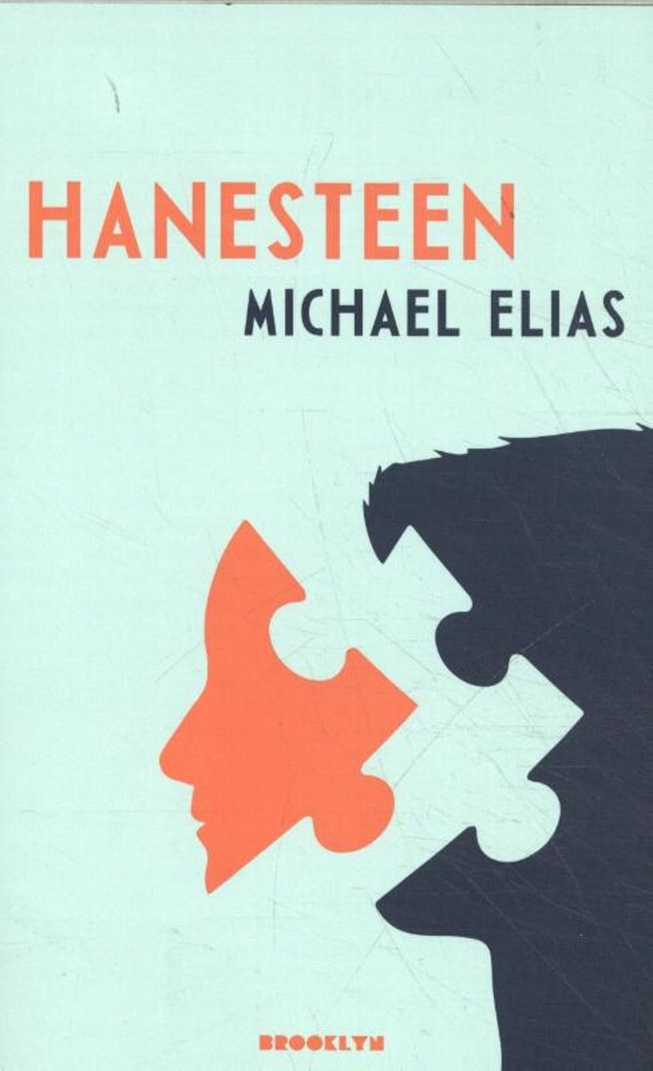 Chiel Hanesteen komt met een psychose achter de rug in een inrichting. Zijn liefdesleven kende meer downs dan ups. Auteur Michael Elias.