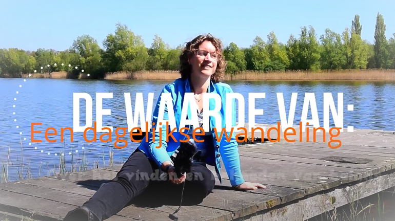 De waarde van: Een dagelijkse wandeling