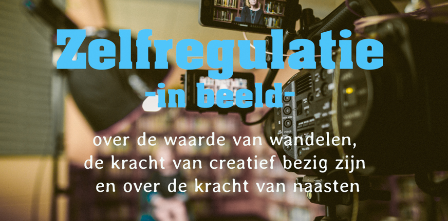 Blog zelfregulatie in beeld