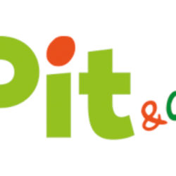 Logo Pit & Co