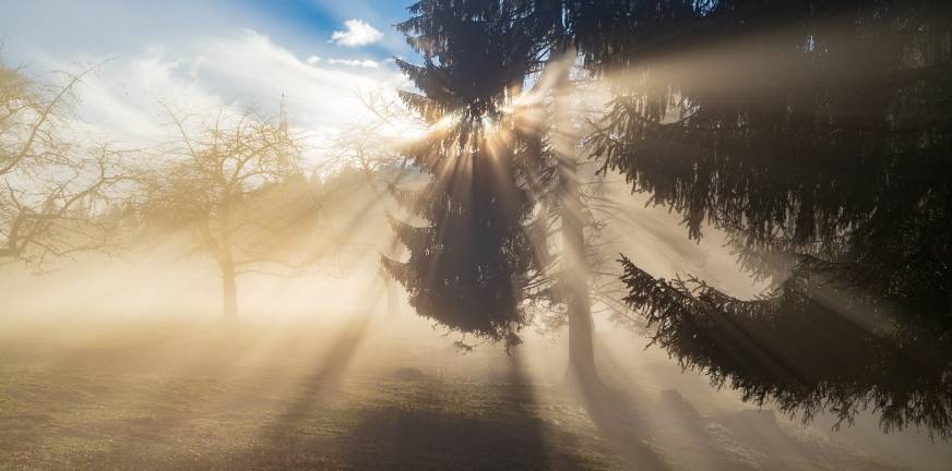 Met dank aan dissociatie – dissociatie als bescherming tegen pijn