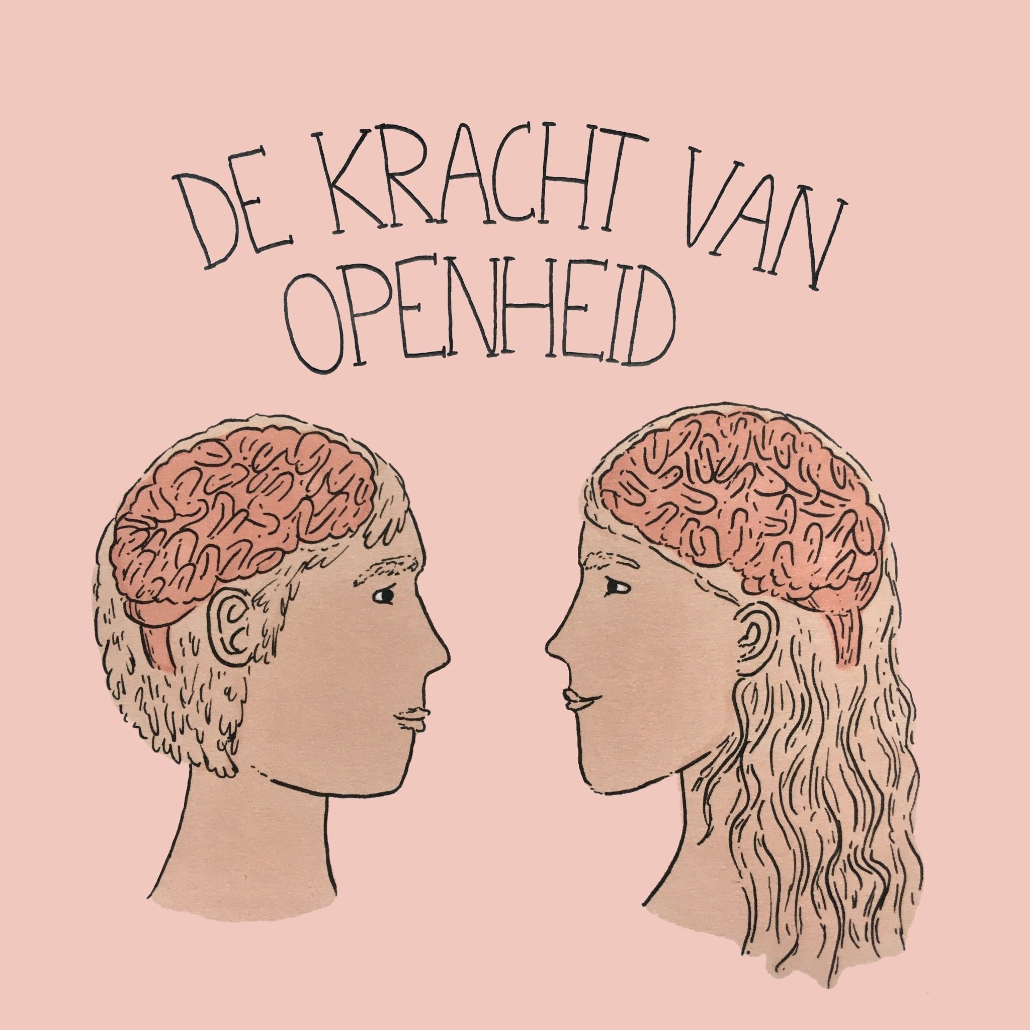 In gesprek met Jim van Os over het kijken voorbij diagnoses – de Kracht van Openheid