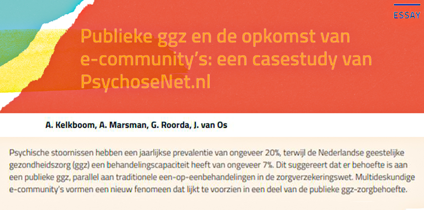 Publieke GGZ en de opkomst van e-community’s: een casestudy van PsychoseNet.nl