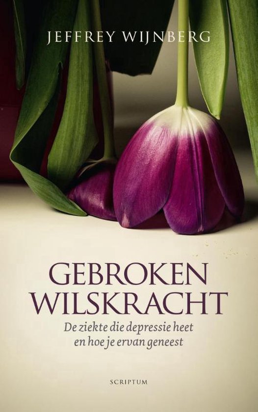 Gebroken wilskracht – Jeffrey Wijnberg