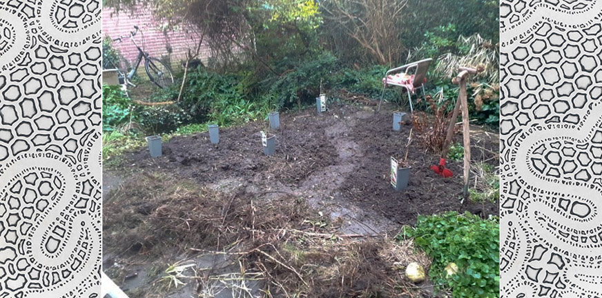 Huilbuien waar je niet van mag weglopen: Tijdens een storm heeft Lonneke haar tuin omgeploegd. Ze heeft ook haar emoties omgeploegd.