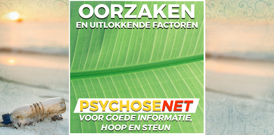 Pagina Oorzaken en uitlokkende factoren