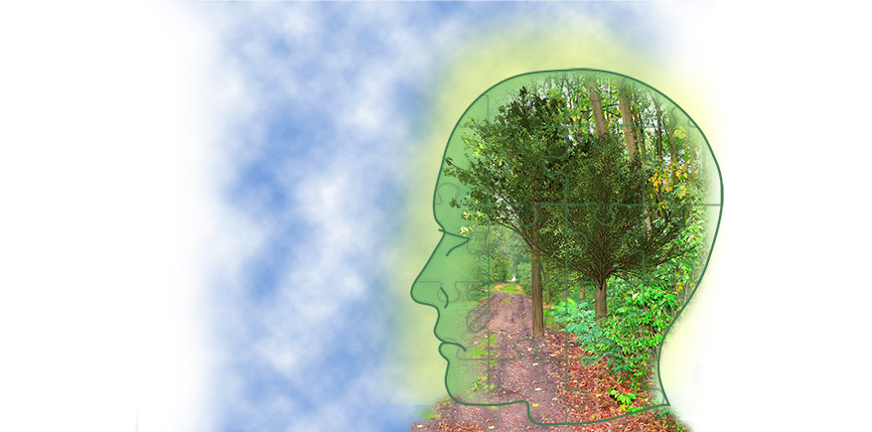 Agenda - Congres Green Mental Health