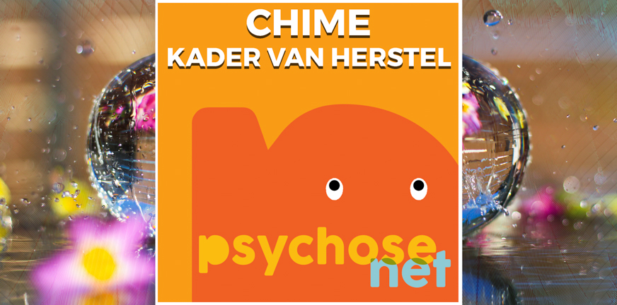 Pagina CHIME kader van herstel