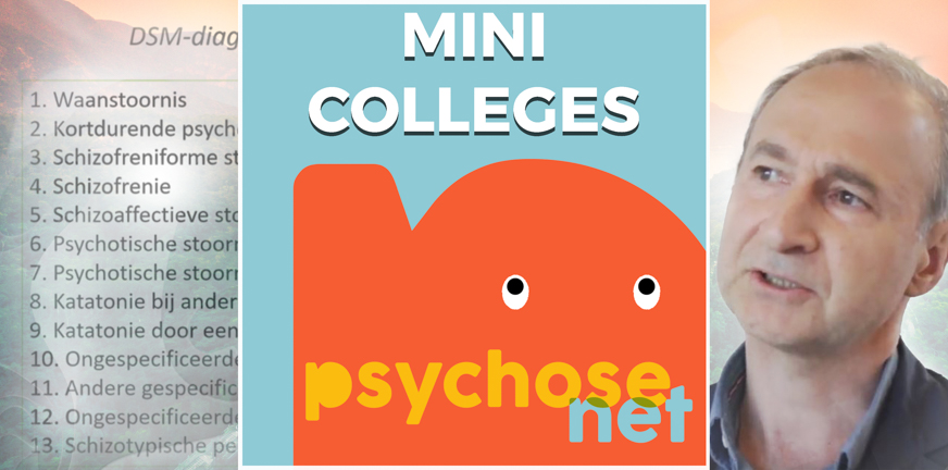 Pagina Mini colleges
