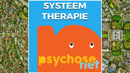 Pagina Systeemtherapie