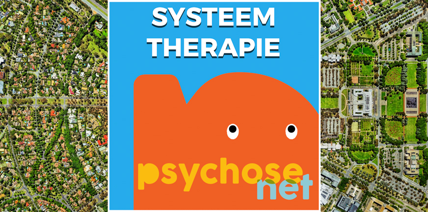Systeemtherapie heet ook relatietherapie of gezinstherapie. Je praat over je positie binnen het systeem en leert deze positief beïnvloeden.