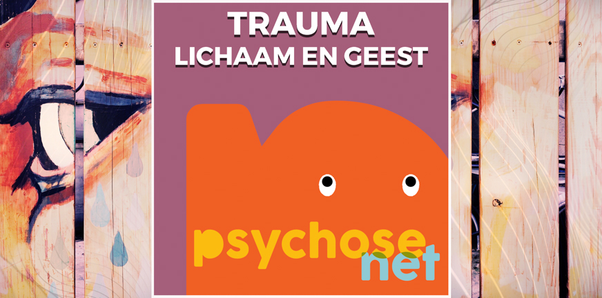 Impact van trauma op lichaam en geest