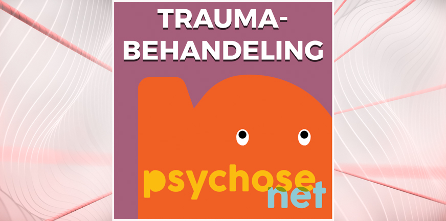 Traumabehandeling begint altijd met de klik met je behandelaar. Ook is een veilige setting, exposure en een passende werkwijze is belangrijk.