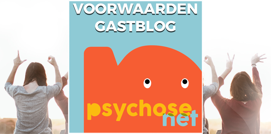 Pagina Voorwaarden gastblog