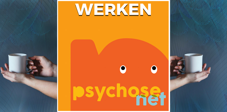 Na een psychose zo snel mogelijk weer aan de studie of het werk. Dit blijkt effectief. Bijvoorbeeld met IPS, Individuele Plaatsing en Steun.