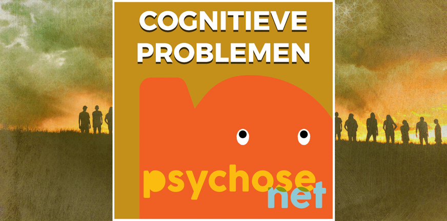 Symptoom: Cognitieve problemen