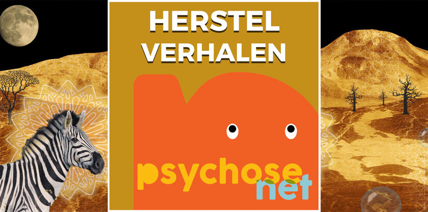 Pagina - Herstelverhalen