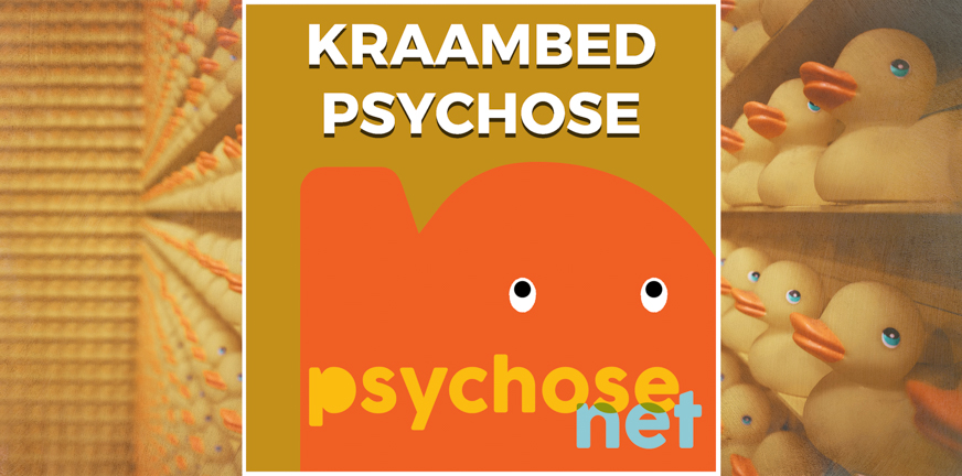 Als je een Kraambedpsychose krijgt