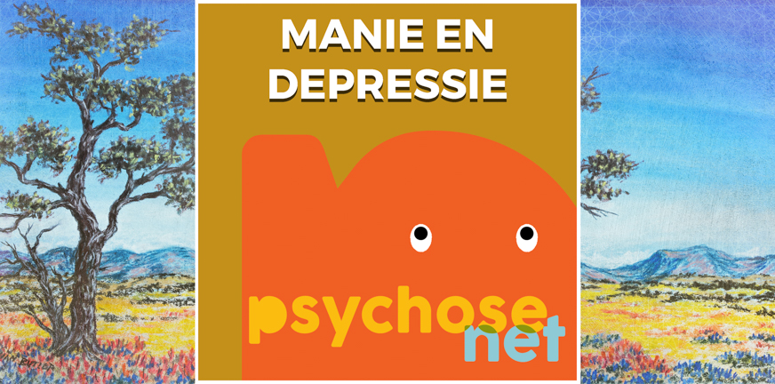 Als je stemming, samen met je energiehuishouding, wisselt tussen de twee uitersten wordt dit bipolariteit of manisch-depressiviteit genoemd.