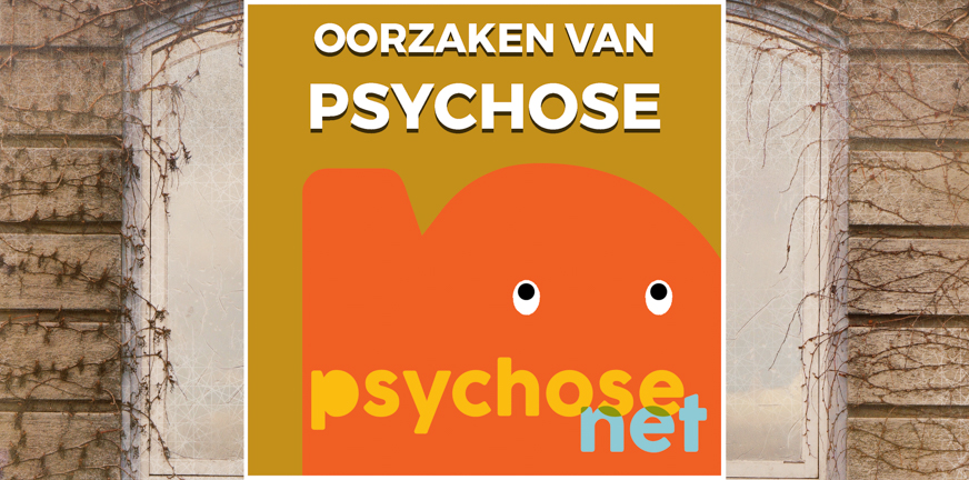 Oorzaken van psychose zijn niet óf genetisch óf omgevingsgebonden. Er is altijd sprake van een mix van factoren, zoals aanleg en verleden.