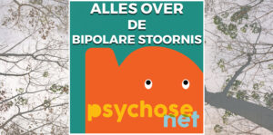 Alles wat je wilt weten over bipolariteit, manisch depressief zijn en de bipolaire stoornis.