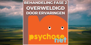 Fase 2 van behandeling. Overweldigd door psychose heb je professionele hulp nodig. Je hebt weinig zicht op de werkelijkheid.