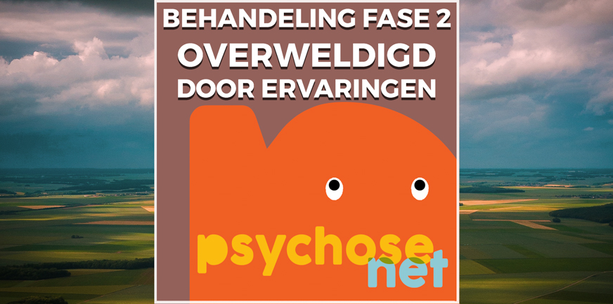 Fase 2 van behandeling. Overweldigd door psychose heb je professionele hulp nodig. Je hebt weinig zicht op de werkelijkheid.