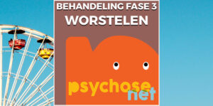 Derde fase van behandeling na psychose. De worsteling met hervinden van perspectief. Deze start met de vraag: "Wat is er gebeurd?"