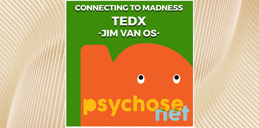 Connecting to Madness – TEDx presentatie van Jim van Os