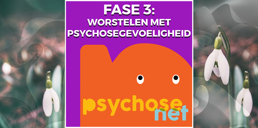 Fase 3: Worstelen met psychosegevoeligheid