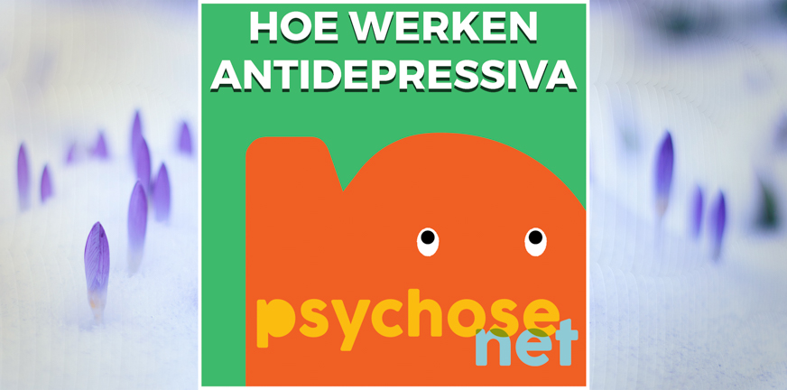 Pagina - Hoe werken antidepressiva