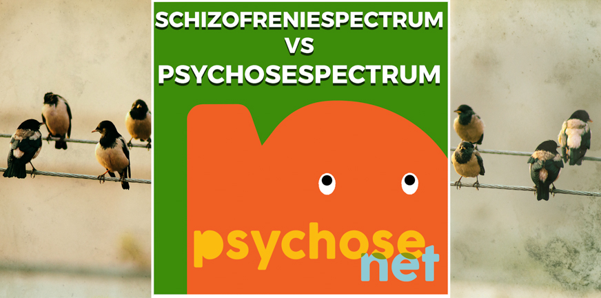 Pagina - Schizofreniespectrum vs psychosespectrum