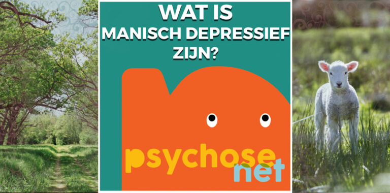 Je gaat toch geen gekke dingen doen? - Aefke ten Hagen * PsychoseNet