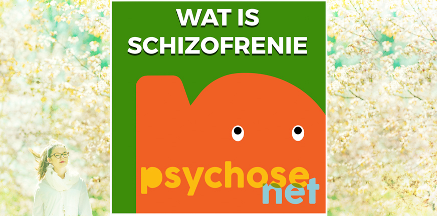 Wat is schizofrenie