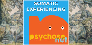 Somatic Experience is een lichaamsgerichte therapie gericht op het helen van trauma’s. De sensaties in het lichaam staan centraal. De methode is ontwikkeld door Dr. Peter A Levine.