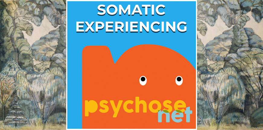 Somatic Experience is een lichaamsgerichte therapie gericht op het helen van trauma’s. De sensaties in het lichaam staan centraal. De methode is ontwikkeld door Dr. Peter A Levine.