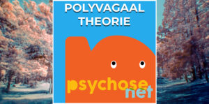 De Polyvagaal theorie bouwt het vermogen om emoties te reguleren, en het creëert automatische reacties van veiligheid en verbondenheid.