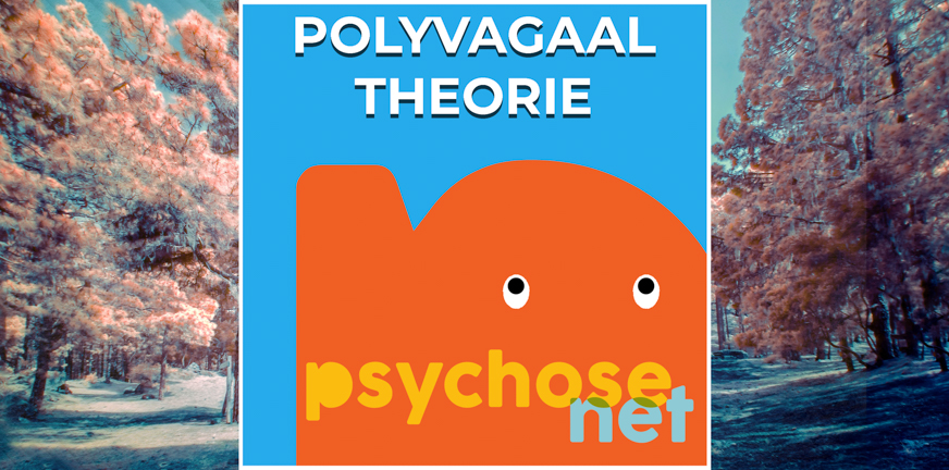 Pagina Polyvagaal theorie
