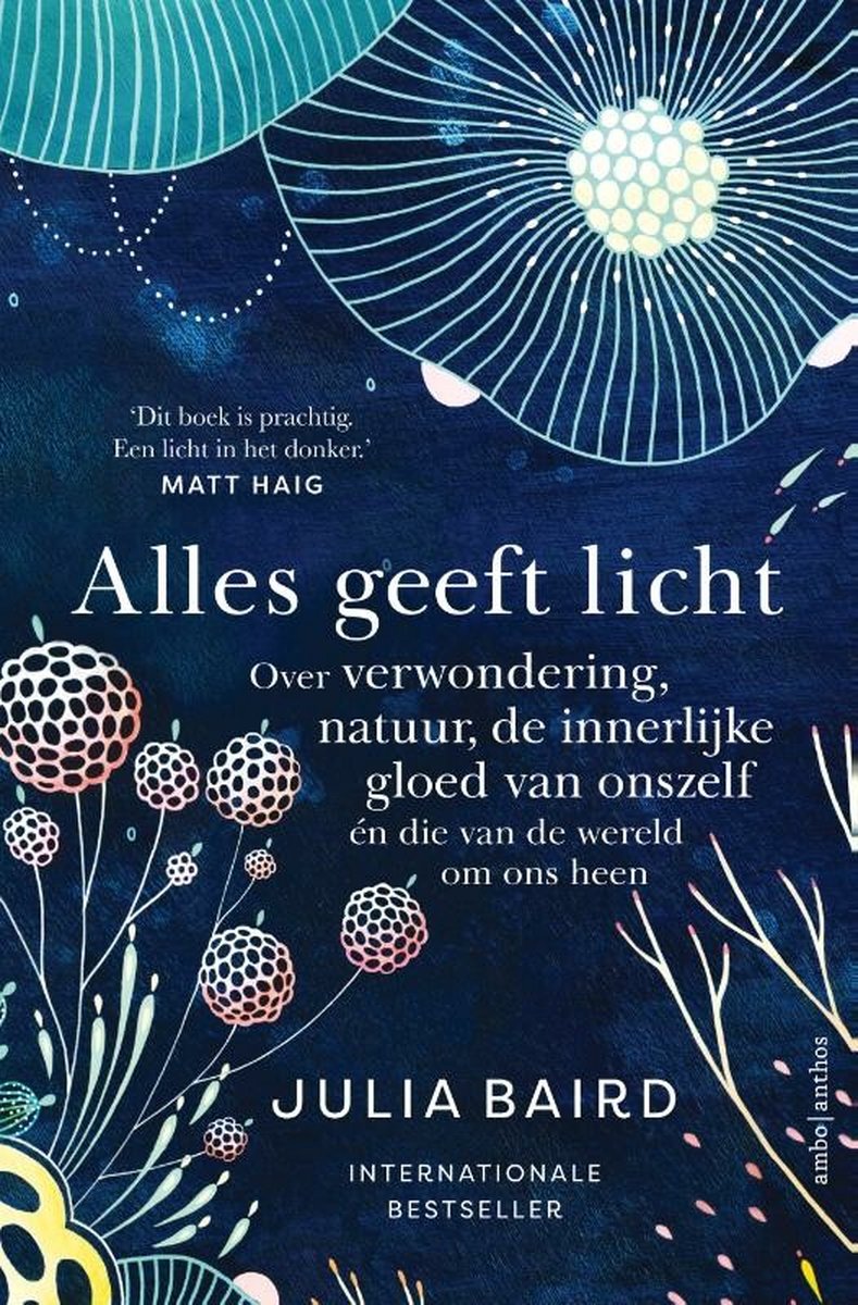 Alles geeft licht – Julia Baird