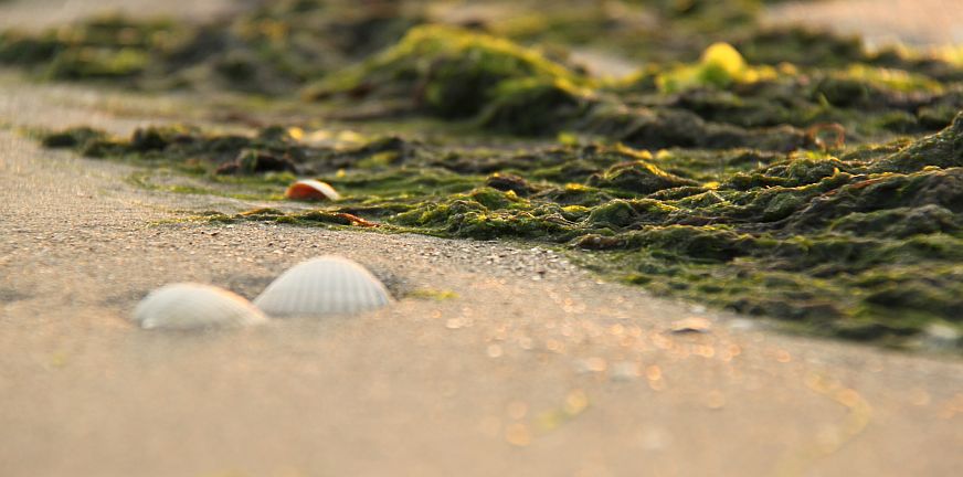 blog-Hertselverhaal -verder gaan