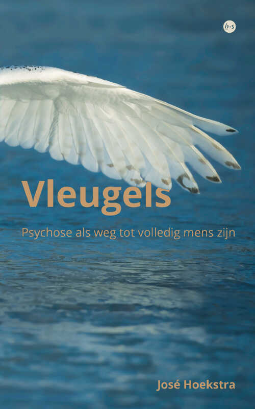 Boek - Vleugels, José Hoekstra