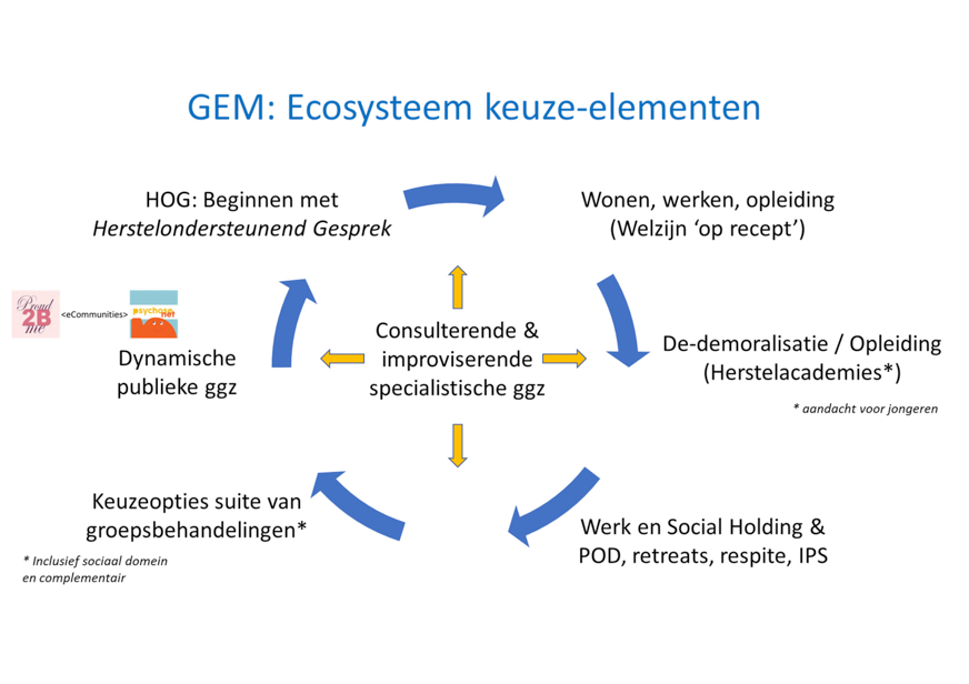GEM (Ecosysteem Mentale Gezondheid) - ecosysteem keuze elementen